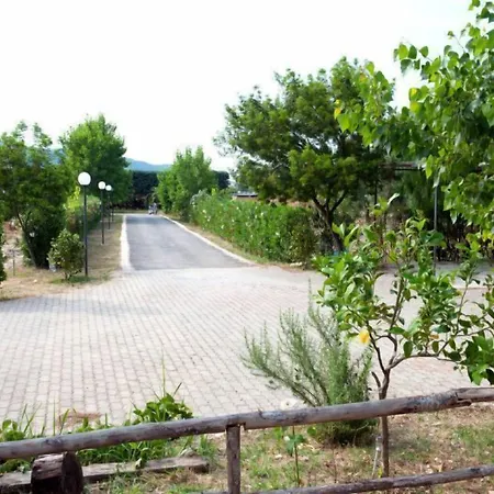 Bed & Breakfast La Formichina