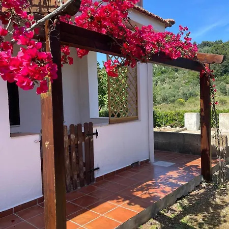 La Formichina B&B