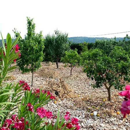 Panzió La Formichina Peschici