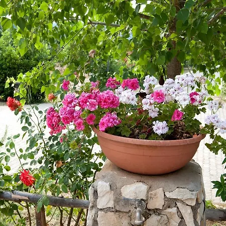 Bed & Breakfast La Formichina
